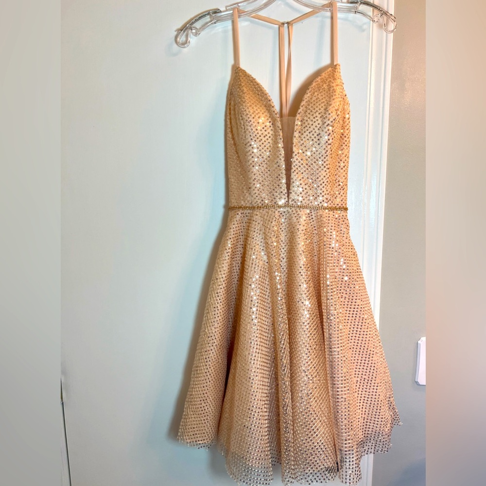 Elizabeth KAY by GLS mini hand-beaded dress.   Size S